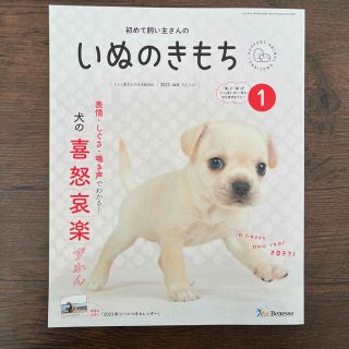 いぬのきもち(犬)