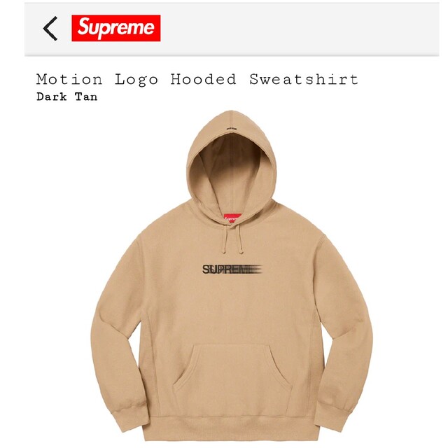 Supreme(シュプリーム)のsupreme motion logo hooded sweatshirt【L】 メンズのトップス(パーカー)の商品写真