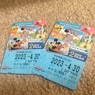 ディズニー(Disney)のなつ様専用　リゾートライン　チケット　2DAYS(遊園地/テーマパーク)