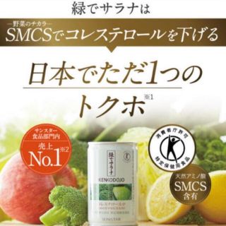 サンスター(SUNSTAR)の緑でサラナ　60缶(２箱)(青汁/ケール加工食品)