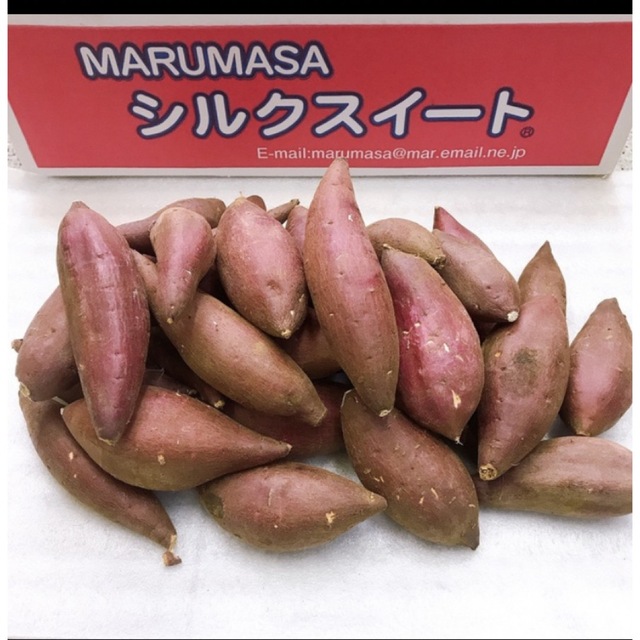 ☆蜜芋☆ 茨城県産　シルクスイート　2Sサイズ 食品/飲料/酒の食品(野菜)の商品写真