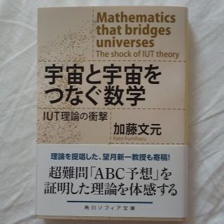 カドカワショテン(角川書店)の宇宙と宇宙をつなぐ数学　ＩＵＴ理論の衝撃(科学/技術)