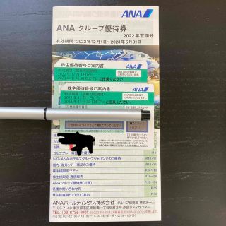 エーエヌエー(ゼンニッポンクウユ)(ANA(全日本空輸))のANA 株主優待券　2枚　2023年11月30日(その他)