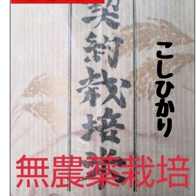 兵庫県丹波産こしひかり玄米10kg(令和4年産)