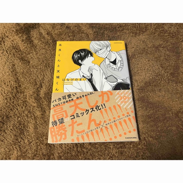 角川書店(カドカワショテン)の高良くんと天城くん　1巻 エンタメ/ホビーの漫画(ボーイズラブ(BL))の商品写真