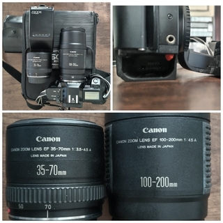 キヤノン(Canon)のCANON EOS 650(自動露出ができません)(フィルムカメラ)