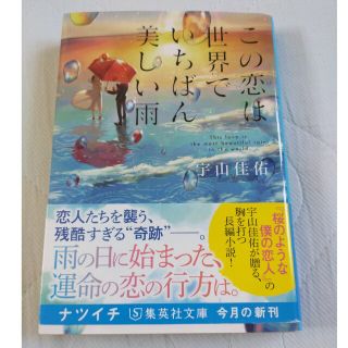 この恋は世界でいちばん美しい雨(その他)