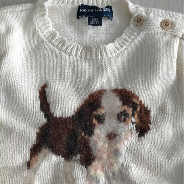 Ralph Lauren(ラルフローレン)のRalph Lauren 犬 ニット キッズ/ベビー/マタニティのベビー服(~85cm)(ニット/セーター)の商品写真