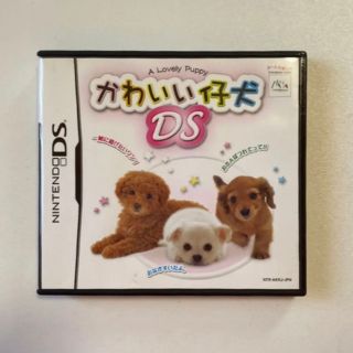 かわいい仔犬　DSソフト(携帯用ゲームソフト)