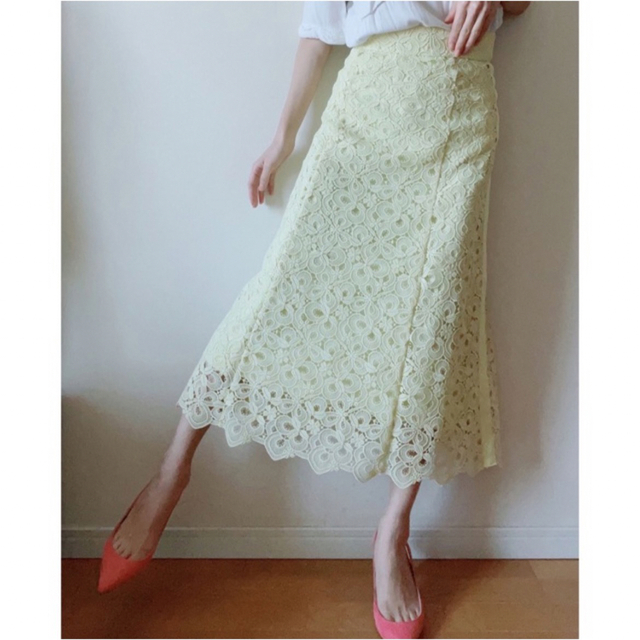 ANAYI - 【新品アナイ定価35200円】　レースフレアスカート