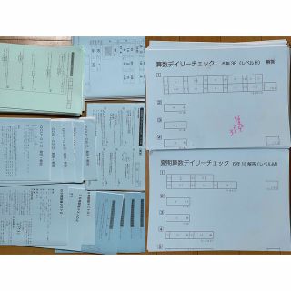 6年sapix算数2022一年分まとめプリントとデイリーチェック基礎力