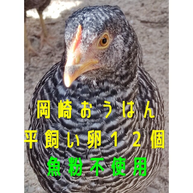 岡崎おうはん　平飼い卵　12個 食品/飲料/酒の食品(その他)の商品写真