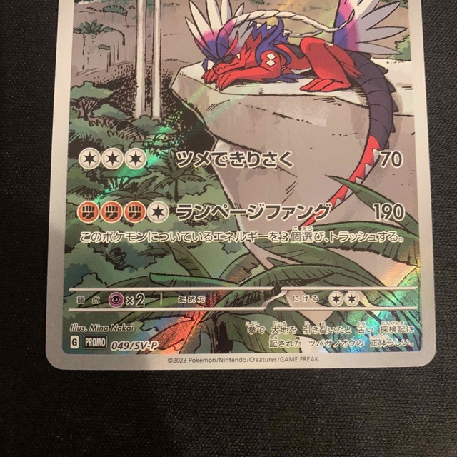 コライドン AR シールド戦 プロモ-www.rayxander.com