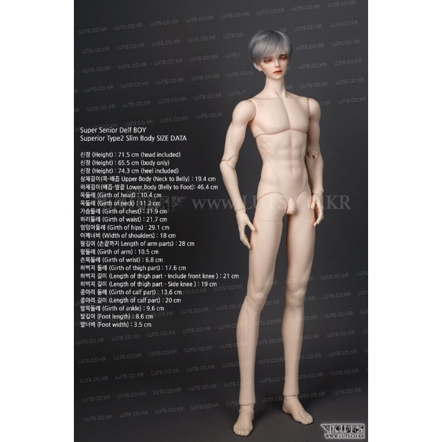 SuperSeniorDelf BOY Superior Body (Slim)