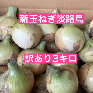 新玉ねぎ淡路島　訳あり３キロ(野菜)