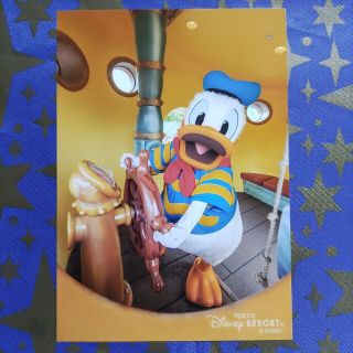 ディズニー(Disney)のディズニー★ドナルド　写真(キャラクターグッズ)