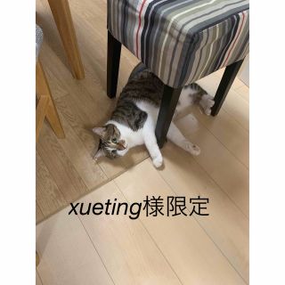 xueting様限定(Tシャツ/カットソー)