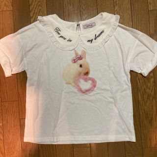 アンクルージュ(Ank Rouge)のアンクルージュ うさぎ　襟付き　カットソー　Tシャツ(Tシャツ(半袖/袖なし))