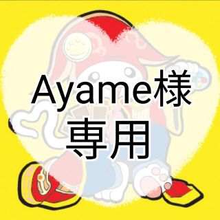 🌺Ayame🌺様　専用(ゲーム)