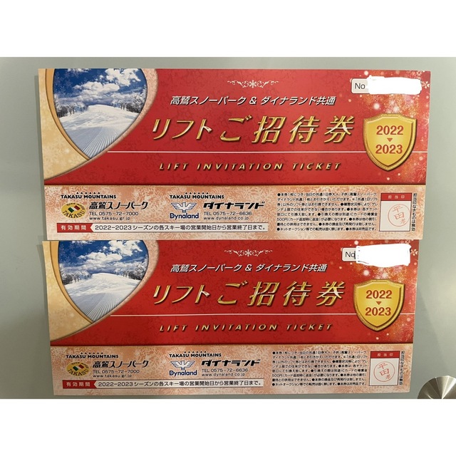 共通1日券2枚高鷲スノーパーク/ダイナランド 共通1日券【大人】リフト券 2枚セット