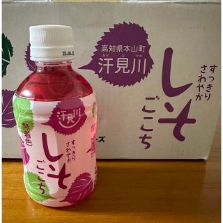 さめうらフーズ すっきりさわやか しそごこち 280ml ×10本(ソフトドリンク)