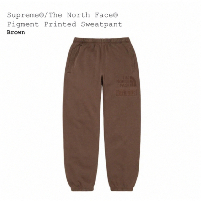 Supreme The North Face Pigment Printed