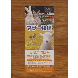 マザー牧場招待券(遊園地/テーマパーク)