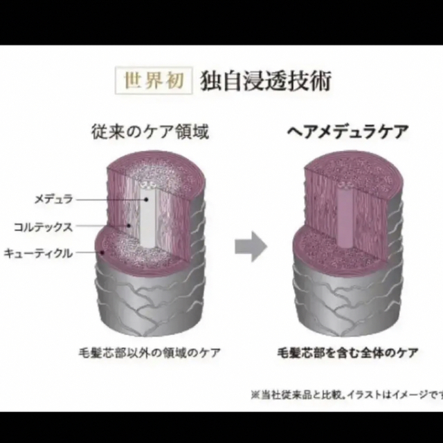 在庫正規店 ESTESSiMO - セール!セルサート イミュンヘアマスク 1L大