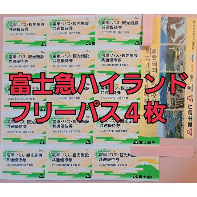 富士急ハイランド フリーパス4枚 - 遊園地/テーマパーク