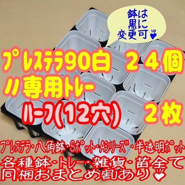 【スリット鉢】プレステラ90白黒各12個＋専用トレー：ハーフ2枚プラ鉢多肉 ハンドメイドのフラワー/ガーデン(プランター)の商品写真