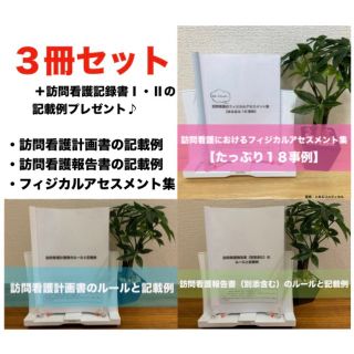 【３冊セット】訪問看護報告書・計画書のルールと記載例＋フィジカルアセスメント集(語学/参考書)