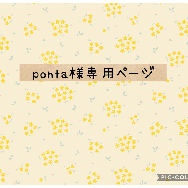 ponta様専用 bkd.bengkuluprov.go.id