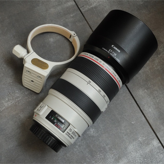 Canon EF70-300 F4-5.6L IS USM