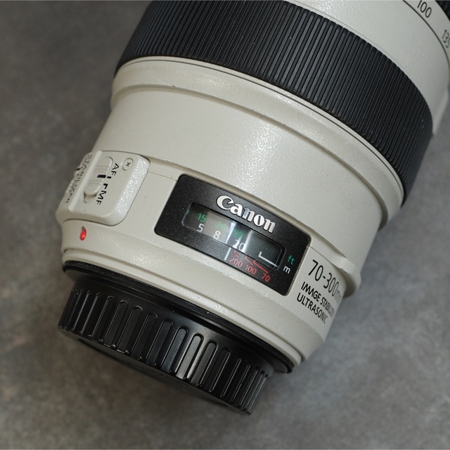 最上級品 Canon EF70-300 F4-5.6L IS USM レンズ(ズーム