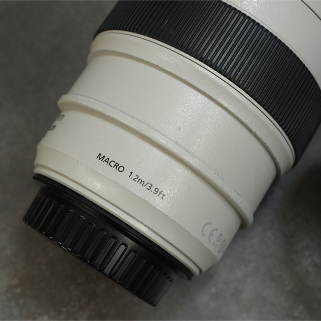 Canon EF70-300 F4-5.6L IS USM 2