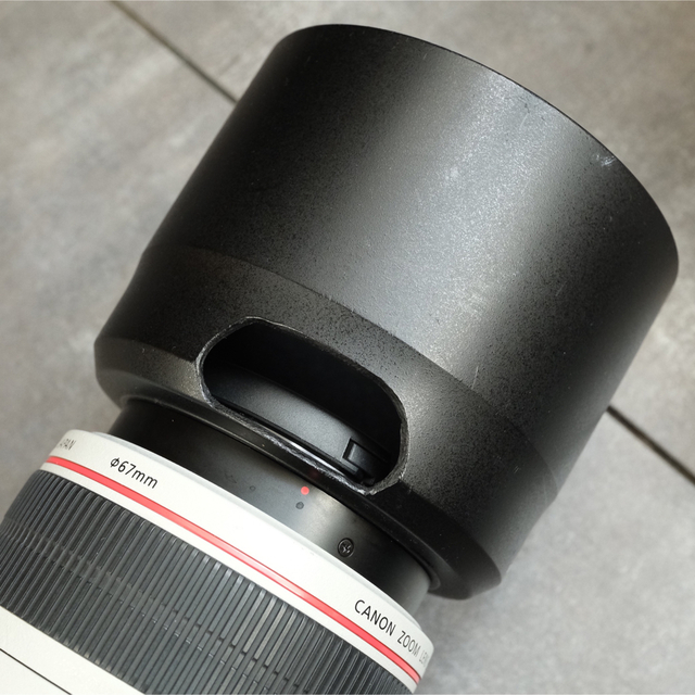 Canon EF70-300 F4-5.6L IS USM 5