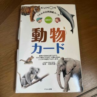 クモンシュッパン(KUMON PUBLISHING)の動物カ－ド(絵本/児童書)