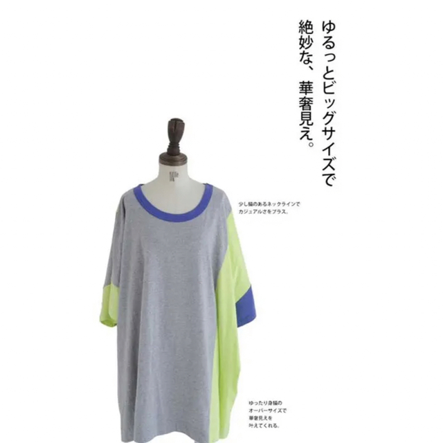 antiqua(アンティカ)の【期間限定品】antiqua  ビッグシルエットTシャツ レディースのトップス(Tシャツ(半袖/袖なし))の商品写真