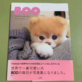 ＢＯＯ ポメラニアンのブ－(住まい/暮らし/子育て)