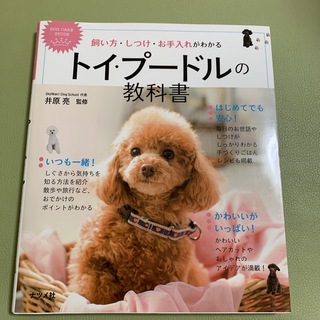 飼い方・しつけ・お手入れがわかるトイ・プ－ドルの教科書 ＤＯＧ　ＣＡＲＥ　ＧＵＩ(住まい/暮らし/子育て)