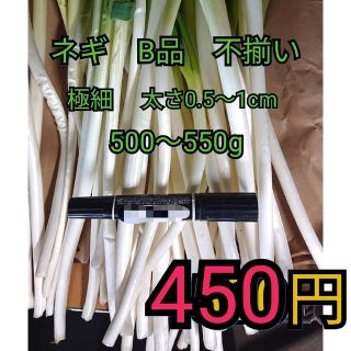 値下げ✳️ワンコイン✳️白ネギＢ品500〜550g程度　極細　常温発送(野菜)