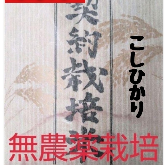 兵庫県丹波産こしひかり白米9kg(令和4年産)