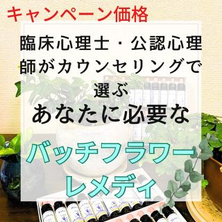 こころのケア　バッチフラワーレメディ　トリートメントボトル(その他)