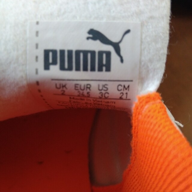 PUMA(プーマ)のPUMA サッカー ジュニア トレーニングシューズ スポーツ/アウトドアのサッカー/フットサル(シューズ)の商品写真