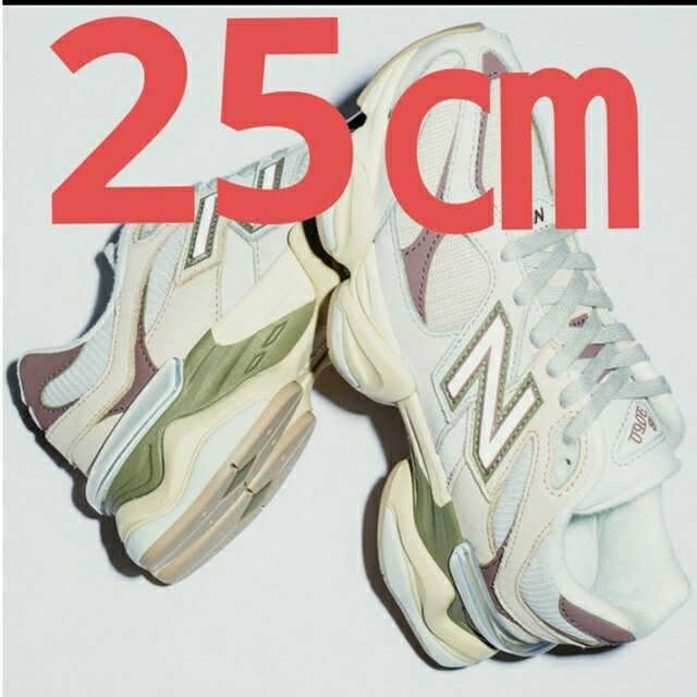 25.0㎝ NEW BALANCE ニューバランス U9060FNA