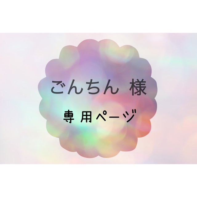 ごんちん様＊専用ページ 送料無料