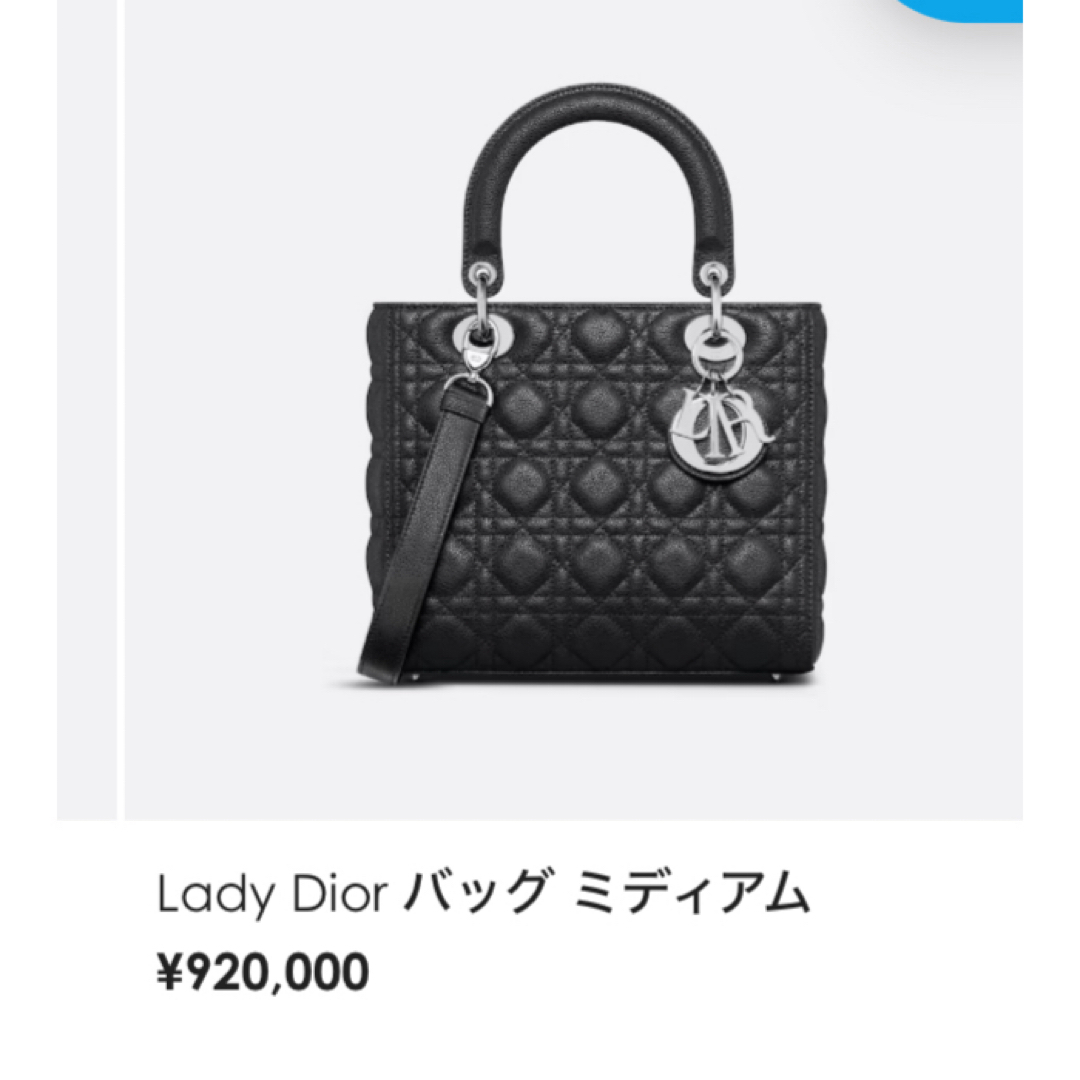 Dior - 手渡しの場合63万 定価77万円 LADYDIOR 新品未使用 バッグの