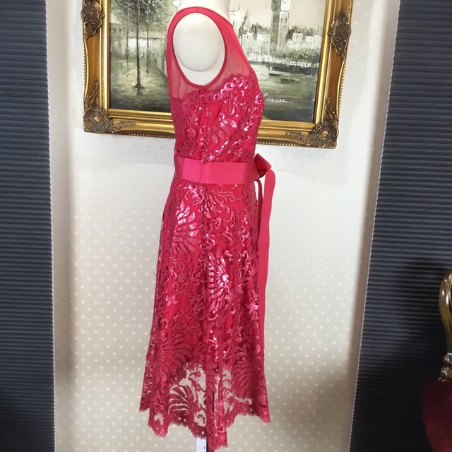 TADASHI SHOJI(タダシショウジ)の新品☆ TADASHI SHOJI サイズ4【 T58】 レディースのワンピース(ひざ丈ワンピース)の商品写真