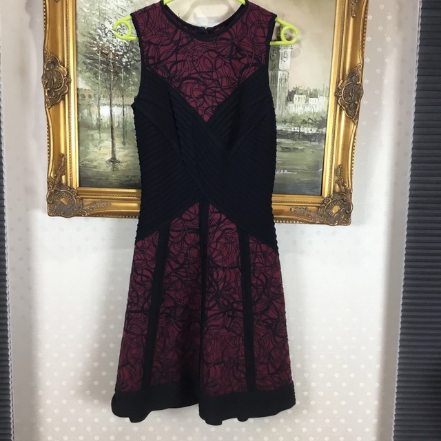 TADASHI SHOJI(タダシショウジ)の新品☆ TADASHI SHIJO サイズXS 【T60】 レディースのワンピース(ひざ丈ワンピース)の商品写真