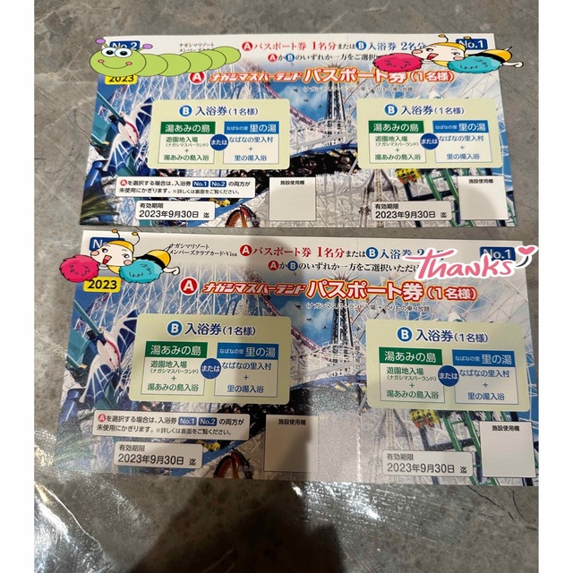 89%OFF!】 ナガシマスパーランド パスポート券2枚 ecodieselcolombiasa.com